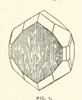An illustration from Gems and Precious Stones of North America. A popular description of their occurrence, value, history, archæology, and of the collections in which they exist, also a chapter on pearls and on remarkable foreign gems owned in the United States. Illustrated, etc (1890)