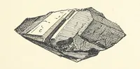 An illustration from Gems and Precious Stones of North America. A popular description of their occurrence, value, history, archæology, and of the collections in which they exist, also a chapter on pearls and on remarkable foreign gems owned in the United States. Illustrated, etc (1890)
