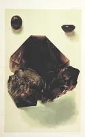 An illustration from Gems and Precious Stones of North America. A popular description of their occurrence, value, history, archæology, and of the collections in which they exist, also a chapter on pearls and on remarkable foreign gems owned in the United States. Illustrated, etc (1890)