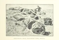 An illustration from Gems and Precious Stones of North America. A popular description of their occurrence, value, history, archæology, and of the collections in which they exist, also a chapter on pearls and on remarkable foreign gems owned in the United States. Illustrated, etc (1890)