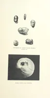 An illustration from Gems and Precious Stones of North America. A popular description of their occurrence, value, history, archæology, and of the collections in which they exist, also a chapter on pearls and on remarkable foreign gems owned in the United States. Illustrated, etc (1890)