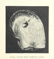 An illustration from Gems and Precious Stones of North America. A popular description of their occurrence, value, history, archæology, and of the collections in which they exist, also a chapter on pearls and on remarkable foreign gems owned in the United States. Illustrated, etc (1890)