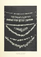 An illustration from Gems and Precious Stones of North America. A popular description of their occurrence, value, history, archæology, and of the collections in which they exist, also a chapter on pearls and on remarkable foreign gems owned in the United States. Illustrated, etc (1890)