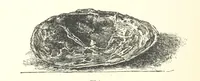 An illustration from Gems and Precious Stones of North America. A popular description of their occurrence, value, history, archæology, and of the collections in which they exist, also a chapter on pearls and on remarkable foreign gems owned in the United States. Illustrated, etc (1890)