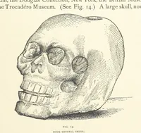 An illustration from Gems and Precious Stones of North America. A popular description of their occurrence, value, history, archæology, and of the collections in which they exist, also a chapter on pearls and on remarkable foreign gems owned in the United States. Illustrated, etc (1890)