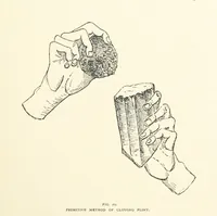 An illustration from Gems and Precious Stones of North America. A popular description of their occurrence, value, history, archæology, and of the collections in which they exist, also a chapter on pearls and on remarkable foreign gems owned in the United States. Illustrated, etc (1890)