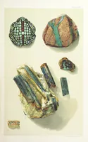 An illustration from Gems and Precious Stones of North America. A popular description of their occurrence, value, history, archæology, and of the collections in which they exist, also a chapter on pearls and on remarkable foreign gems owned in the United States. Illustrated, etc (1890)