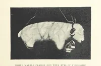 An illustration from Gems and Precious Stones of North America. A popular description of their occurrence, value, history, archæology, and of the collections in which they exist, also a chapter on pearls and on remarkable foreign gems owned in the United States. Illustrated, etc (1890)