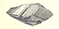 An illustration from Gems and precious stones of North America ... Second edition, with appendix (1892)