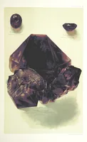 An illustration from Gems and precious stones of North America ... Second edition, with appendix (1892)