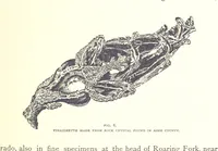 An illustration from Gems and precious stones of North America ... Second edition, with appendix (1892)
