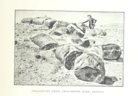 Picture 31 of 55 from Gems and precious stones of North America ... Second edition, with appendix (1892), leaf 189
