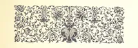 An illustration from Gems and precious stones of North America ... Second edition, with appendix (1892)