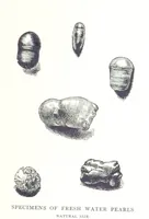 An illustration from Gems and precious stones of North America ... Second edition, with appendix (1892)