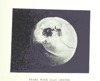 An illustration from Gems and precious stones of North America ... Second edition, with appendix (1892)