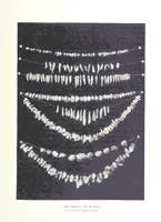 Picture 41 of 55 from Gems and precious stones of North America ... Second edition, with appendix (1892), leaf 297