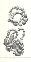 Picture 45 of 55 from Gems and precious stones of North America ... Second edition, with appendix (1892), leaf 351
