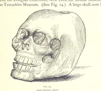 Picture 46 of 55 from Gems and precious stones of North America ... Second edition, with appendix (1892), leaf 355
