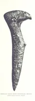 Picture 50 of 55 from Gems and precious stones of North America ... Second edition, with appendix (1892), leaf 371