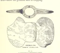 Picture 54 of 55 from Gems and precious stones of North America ... Second edition, with appendix (1892), leaf 379