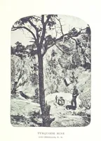 Picture 11 of 55 from Gems and precious stones of North America ... Second edition, with appendix (1892), leaf 69