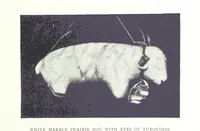 An illustration from Gems and precious stones of North America ... Second edition, with appendix (1892)