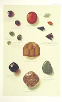 An illustration from Gems and precious stones of North America ... Second edition, with appendix (1892)