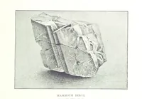 An illustration from Gems and precious stones of North America ... Second edition, with appendix (1892)