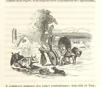An illustration from Voyage aux pays aurifères, Afrique, Mexique, Californie, Pérou, Chili, Nouvelle-Calédonie, Australie, Russie ... illustré par J. B. Arnout, père (1855)