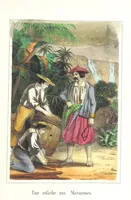An illustration from Voyage aux pays aurifères, Afrique, Mexique, Californie, Pérou, Chili, Nouvelle-Calédonie, Australie, Russie ... illustré par J. B. Arnout, père (1855)