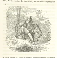 An illustration from Voyage aux pays aurifères, Afrique, Mexique, Californie, Pérou, Chili, Nouvelle-Calédonie, Australie, Russie ... illustré par J. B. Arnout, père (1855)
