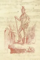 An illustration from Voyage aux pays aurifères, Afrique, Mexique, Californie, Pérou, Chili, Nouvelle-Calédonie, Australie, Russie ... illustré par J. B. Arnout, père (1855)