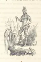 An illustration from Voyage aux pays aurifères, Afrique, Mexique, Californie, Pérou, Chili, Nouvelle-Calédonie, Australie, Russie ... illustré par J. B. Arnout, père (1855)