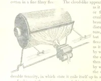 Picture 8 of 167 from The Pictorial History of the County of Lancaster, etc (1844), leaf 28