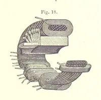 An illustration from A complete Treatise on the Electro-deposition of Metals ... Translated from the German of Dr. G. Langbein ... with additions by William T. Brannt ... Illustrated, etc (1891)