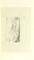 An illustration from An Account of the great Floods of August 1829, in the Province of Moray, and adjoining districts (1830)