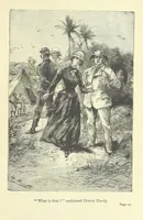 Picture 4 of 24 from The Secret of the Magian: or, the mystery of Ecbatana, etc. [A tale (1892), leaf 39