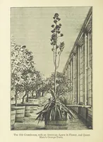 Picture 7 of 56 from The History of Hampton Court Palace ... Illustrated, etc (1885), leaf 68