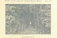 Picture 8 of 56 from The History of Hampton Court Palace ... Illustrated, etc (1885), leaf 71