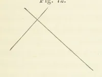 Picture 52 of 59 from A Manual of Photography: intended as a text book for beginners and a book of reference for advanced photographers (1868), leaf 175