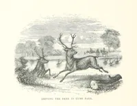 Picture 4 of 22 from Ballads and Legends of Cheshire. [Collected and edited by E. L., with illustrations.] L.P (1867), leaf 60
