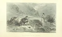 Picture 32 of 40 from Roland Cashel. With illustrations by Phiz [i.e. H. K. Browne (1850), leaf 568