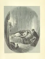 An illustration from Roland Cashel. With illustrations by Phiz [i.e. H. K. Browne (1850)