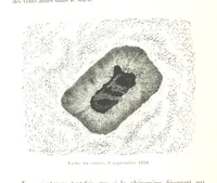 Picture 33 of 238 from L'Espace céleste et la nature tropicale, description physique de l'univers ... préface de M. Babinet, dessins de Yan' Dargent (1866), leaf 108