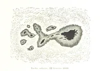 Picture 34 of 238 from L'Espace céleste et la nature tropicale, description physique de l'univers ... préface de M. Babinet, dessins de Yan' Dargent (1866), leaf 109