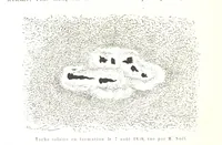 Picture 35 of 238 from L'Espace céleste et la nature tropicale, description physique de l'univers ... préface de M. Babinet, dessins de Yan' Dargent (1866), leaf 110