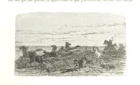 An illustration from L'Espace céleste et la nature tropicale, description physique de l'univers ... préface de M. Babinet, dessins de Yan' Dargent (1866)