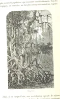 An illustration from L'Espace céleste et la nature tropicale, description physique de l'univers ... préface de M. Babinet, dessins de Yan' Dargent (1866)