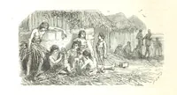 An illustration from L'Espace céleste et la nature tropicale, description physique de l'univers ... préface de M. Babinet, dessins de Yan' Dargent (1866)