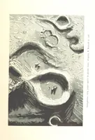 Picture 54 of 238 from L'Espace céleste et la nature tropicale, description physique de l'univers ... préface de M. Babinet, dessins de Yan' Dargent (1866), leaf 165